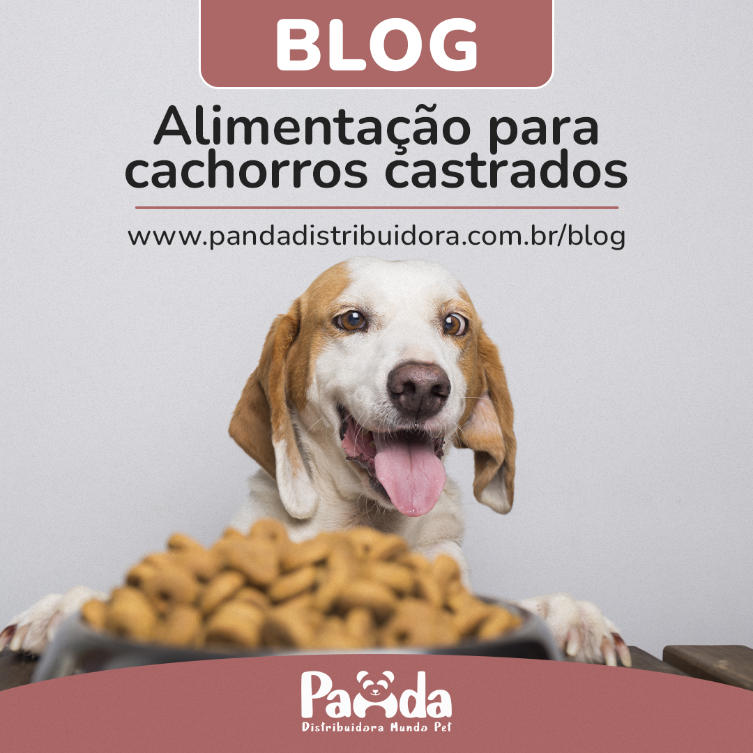 Alimentação para cachorros castrados