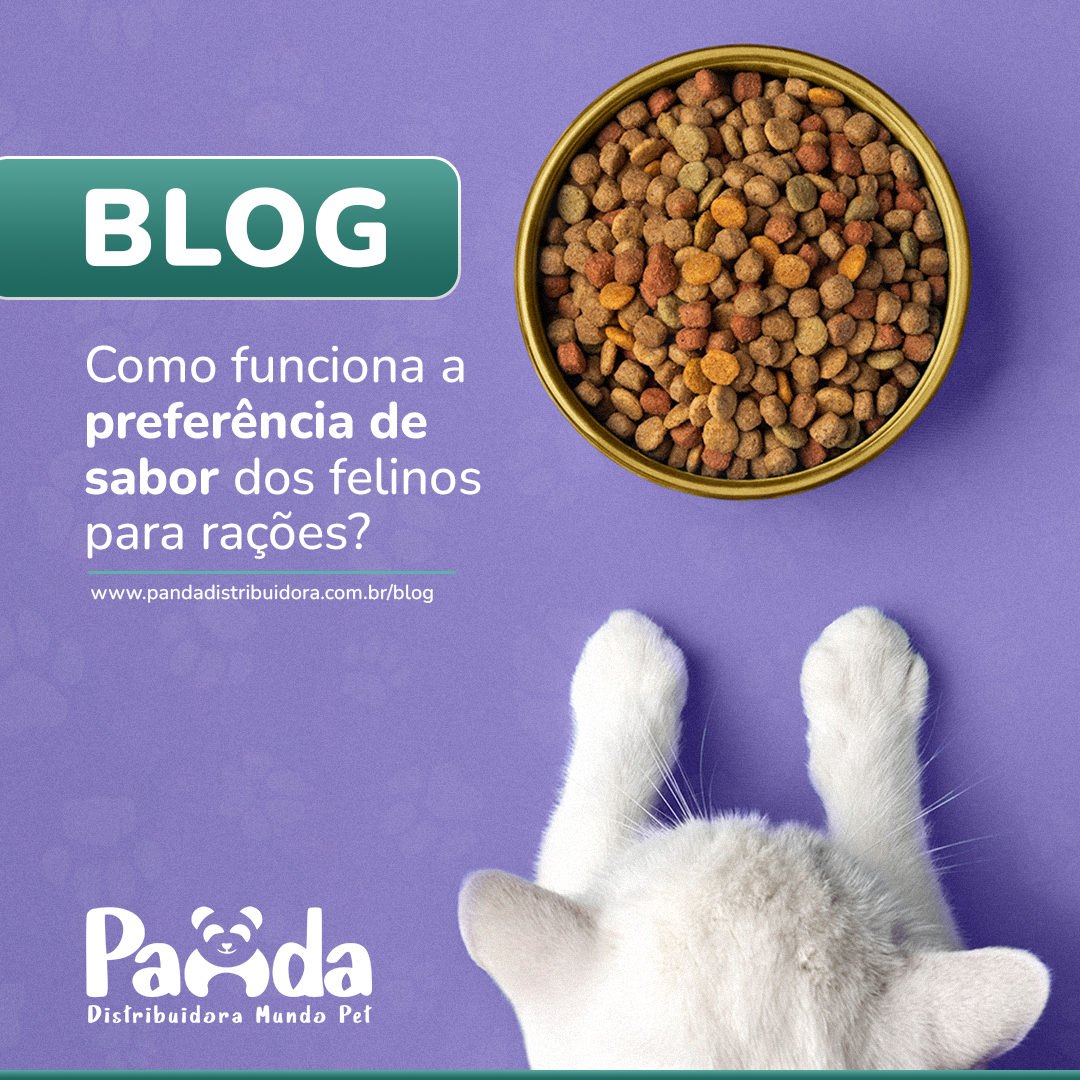 Como funciona a preferência de sabor dos felinos para rações