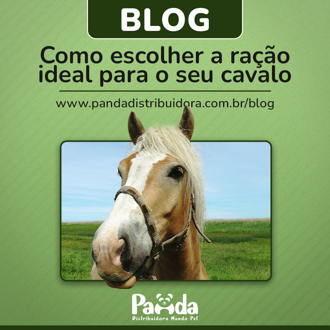 Como escolher a ração ideal para o seu cavalo